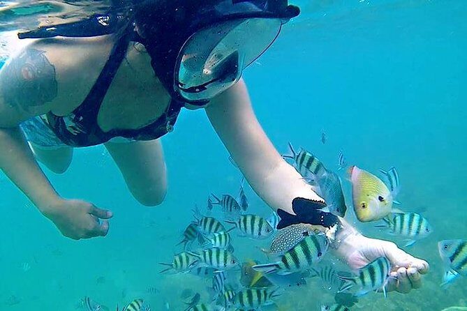 Bintan Snorkeling Tour - Exploring the Experience: What to Expect