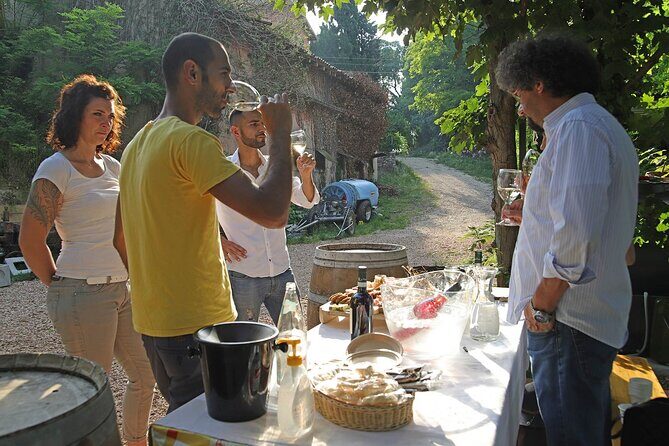 Biodynamic Farm and Natural Wines Tasting in Lazise - Authentic Insights from Past Travelers