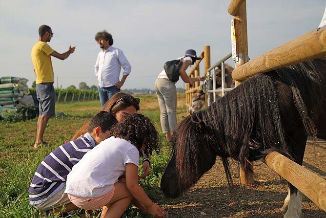 Biodynamic Farm and Natural Wines Tasting in Lazise - The Sum Up