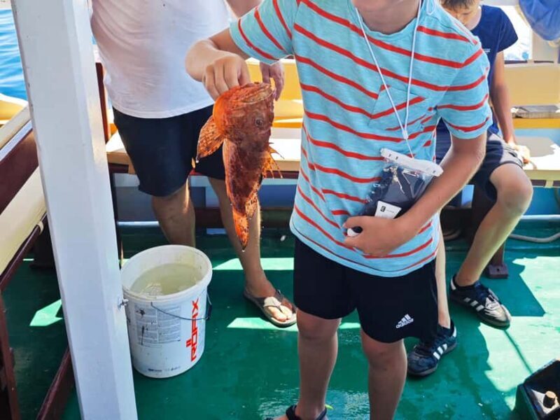 Biograd: Authentic Fishing Tour in Croatia. Kids Love This! - Key Points