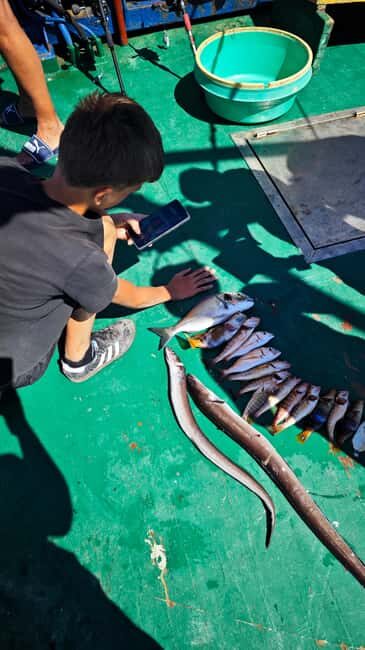Biograd: Authentic Fishing Tour in Croatia. Kids Love This! - Why This Tour Is Worth Considering