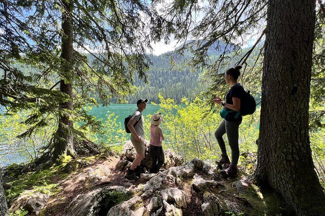 Biogradska Gora National Park Tour with Optional Add-Ons - The Experience: What Travelers Love