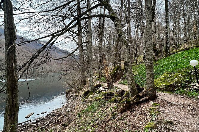 Biogradska Gora National Park Tour with Optional Add-Ons - Who Is This Tour Best For?