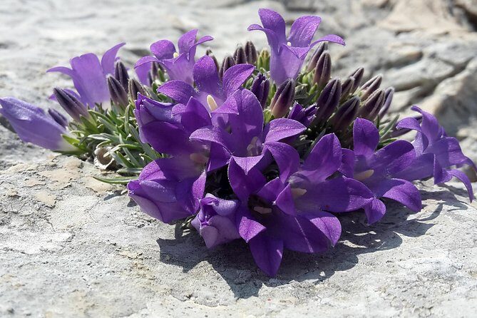 Biokovo Skywalk - Final Thoughts: Why This Tour Is Worth Considering