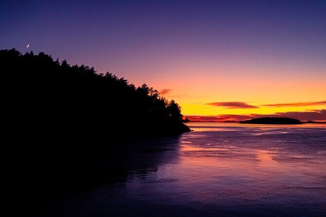 Bioluminescence and Sunset Kayak Tour in the San Juan Islands - An In-Depth Look at the Experience