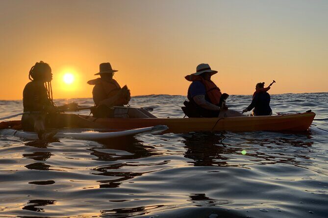 Bioluminescence by kayak or SUP to Los Arcos Puerto Vallarta - Key Points