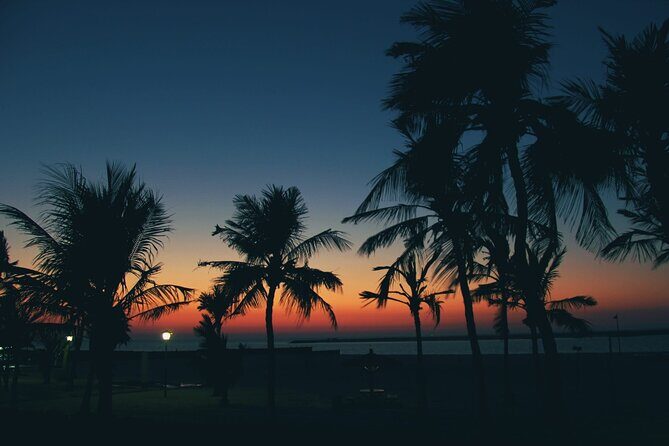 Bioluminescence from Puerto Escondido - Key Points