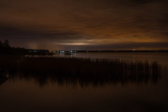 Bioluminescence from Puerto Escondido - The Experience’s Pros and Cons