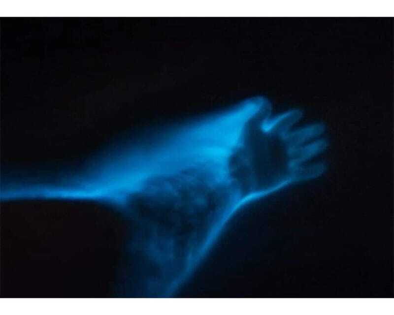 BIOLUMINESCENCE IN PUERTO ESCONDIDO - The Experience on the Water