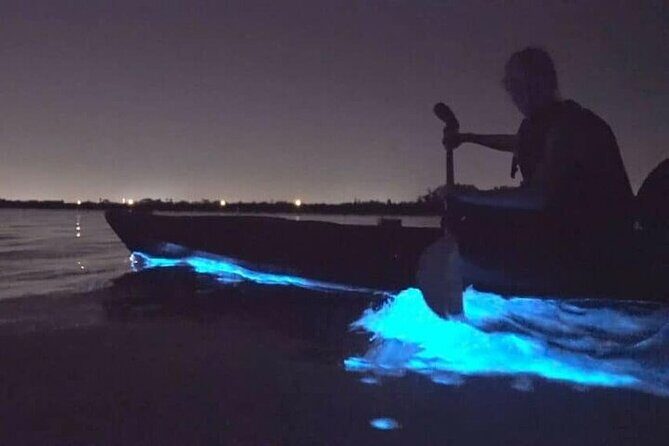 Bioluminescence Kayak Holbox  Night Eco Tour & Stargazing - What to Expect on the Tour