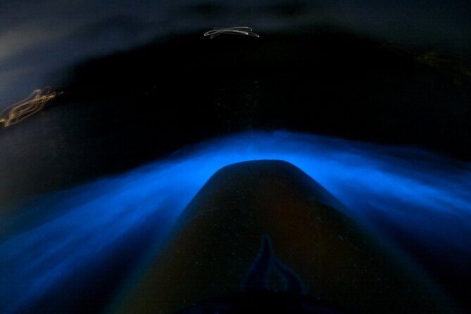 Bioluminescence Kayak Tour - Est. 1994 - Key Points