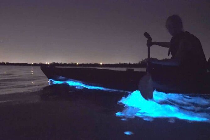 Bioluminescence Kayak Tour - Est. 1994 - FAQs