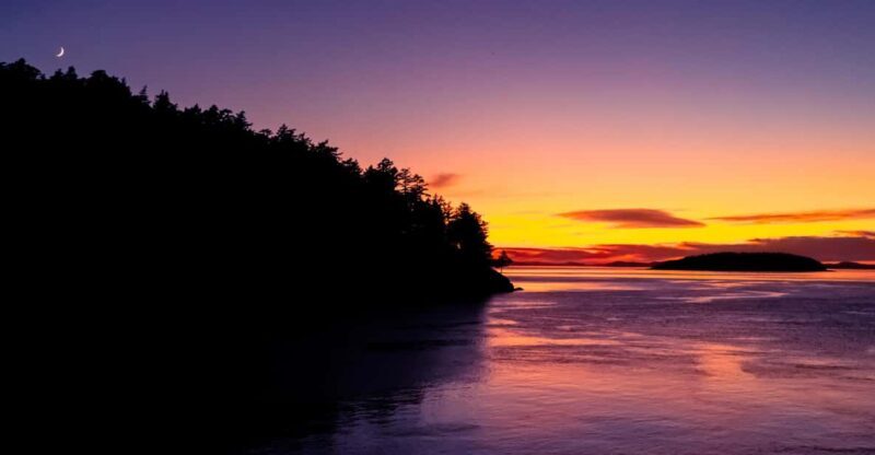 Bioluminescence Night Paddle - An In-Depth Look at the Bioluminescence Night Paddle