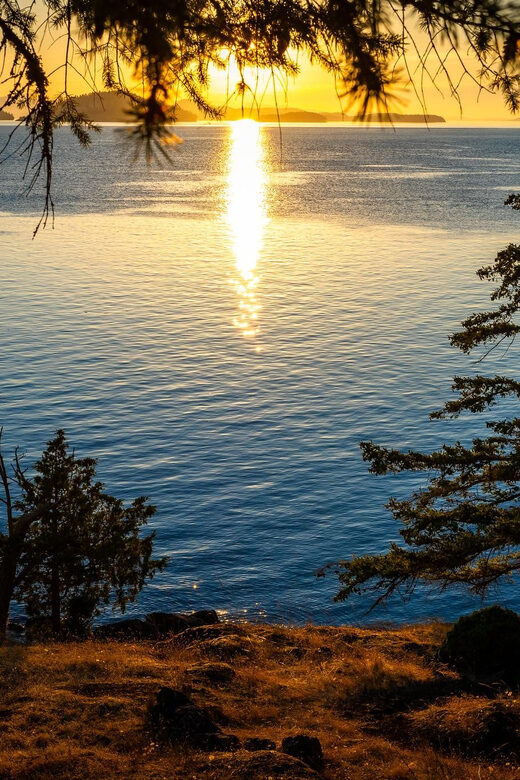 Bioluminescence Night Paddle - Who Is This Tour Best For?