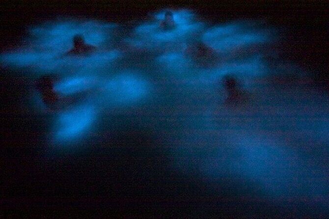 Bioluminescence & sunset local boat tour to Los Arcos Sanctuary - Final Thoughts