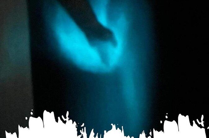 Bioluminescence swim with stars - Why This Tour Matters