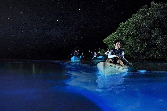 Bioluminescence Tour in Kayak in Holbox Island - What Travelers Say