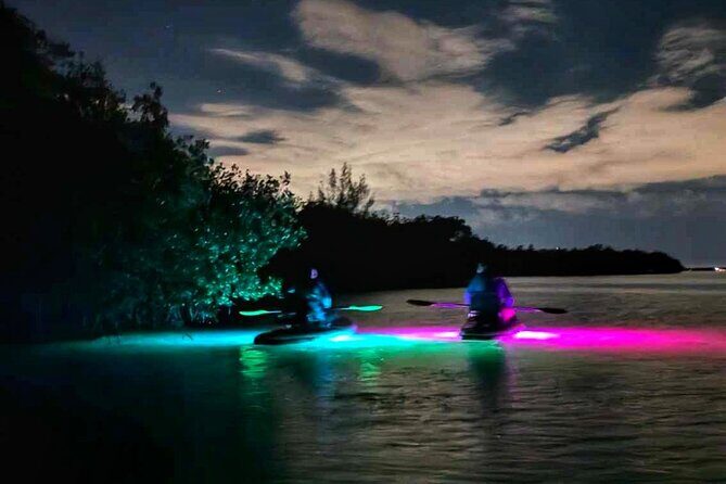 Bioluminescent Comb Jelly & LED Kayak / Paddle board Excursion - An In-Depth Look at the Tour Experience