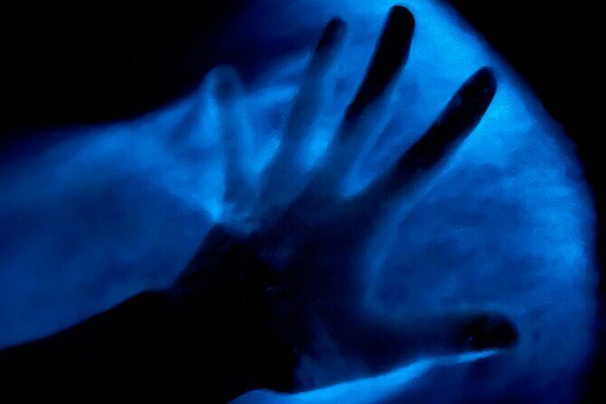 Bioluminescent Kayak Tour in Floridas Indian River Lagoon - An In-Depth Look at the Experience