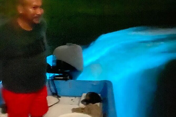 Bioluminiscense Lagoon Tour - Key Points