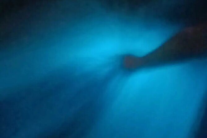 Bioluminiscense Lagoon Tour - The Experience in Detail