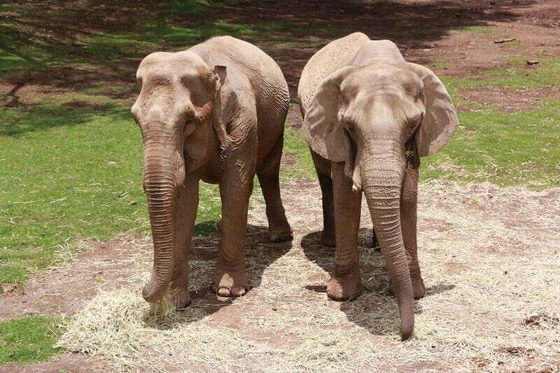 Bioparque Estrella Safari Experience Ticket - Final Thoughts