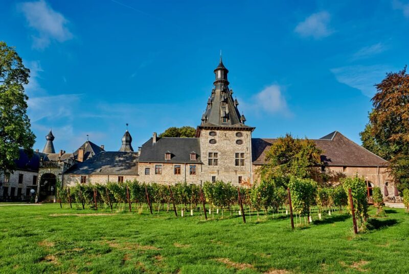 Bioul (near Dinant) : Château de Bioul Tour and Wine Tasting - The Tasting: Sampling Local Wines and Products
