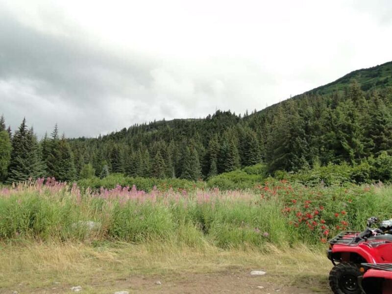 Bird Creek: Chugach State Park ATV Nature Tour & Hike - The Experience in Detail