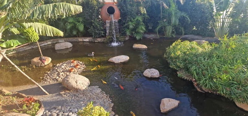 Bird Island sweet west tour - The Sum Up: Who Will Love This Tour?