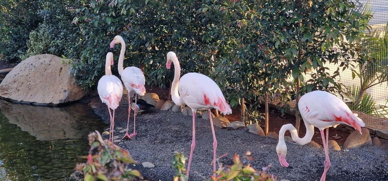 Bird Island sweet west tour - FAQ