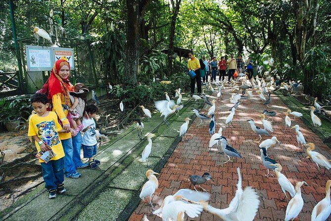 Bird Park & Butterfly Farm Nature Include All Entrance Tour From Kuala Lumpur - Authentic Insights from Reviewers
