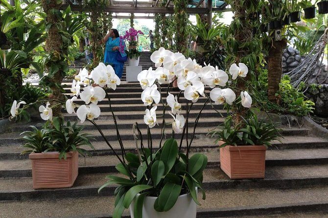 Bird Park & Butterfly Farm Nature Tour From Kuala Lumpur - Frequently Asked Questions