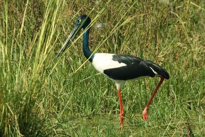 Bird Sanctuary, Bharatpur & Taj Mahal, Agra Day Tour from Delhi - An In-Depth Look at the Experience