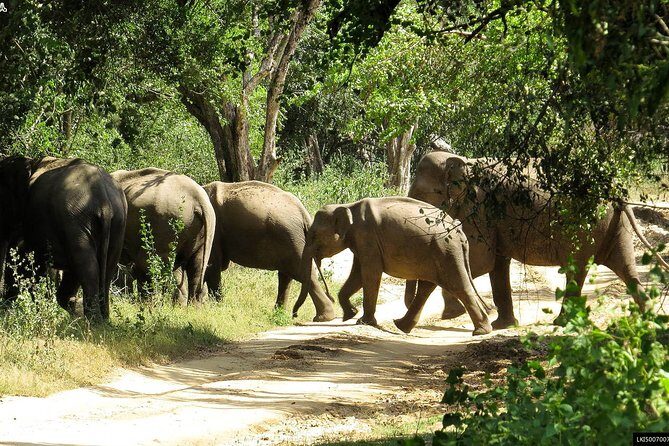 Bird watching and Wildlife Tour (6 Days) - Overview and First Impressions