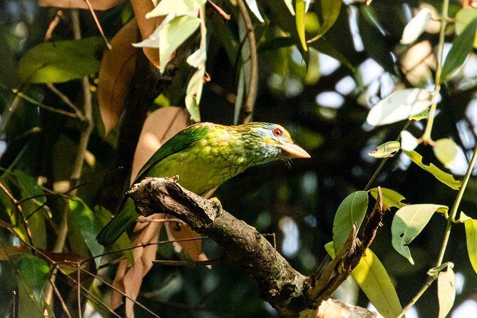 Bird watching and Wildlife Tour (6 Days) - FAQ Section