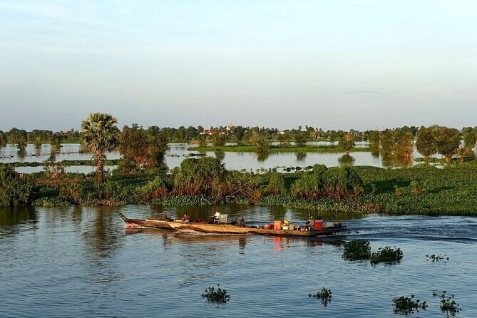 Bird Watching at Tonle Saps Inundated Forest - Key Points