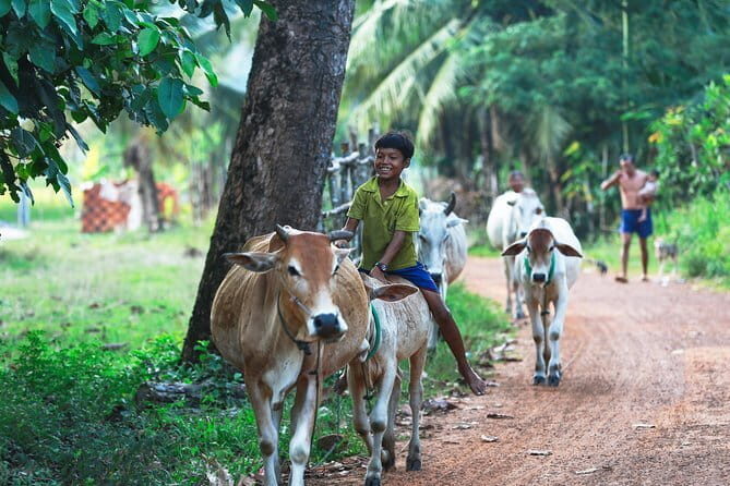 Bird Watching at Tonle Saps Inundated Forest - FAQ