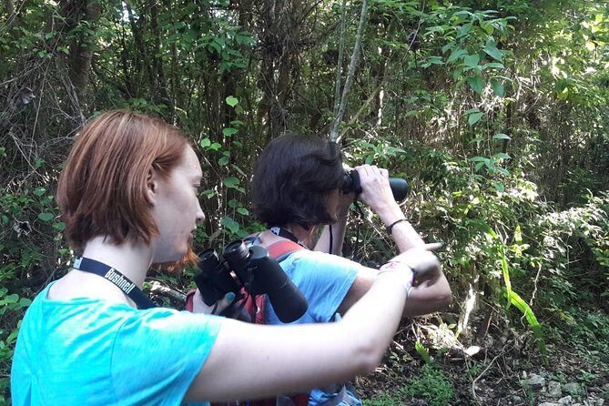 Bird watching ecofriendly tour from Cancun & Riviera Maya - Summary: Who Should Book This Tour?