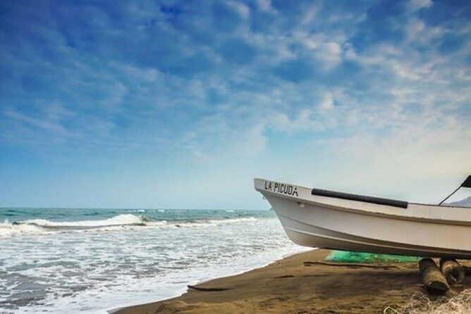 Bird watching in La Mancha - The Itinerary in Detail