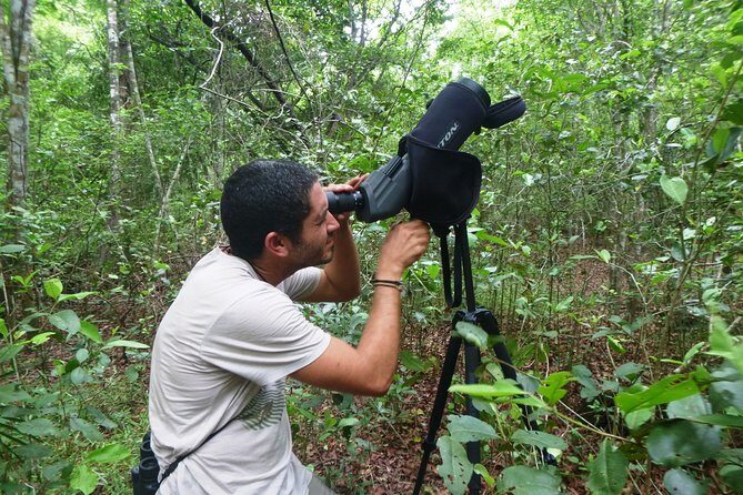 Bird Watching in Sian Ka´an Muyil - Practical Benefits for Travelers