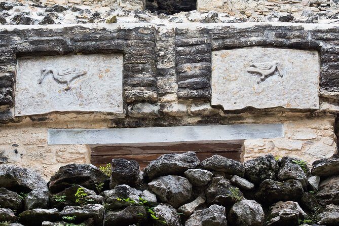 Bird Watching in Sian Ka´an Muyil - Who Will Love This Tour?