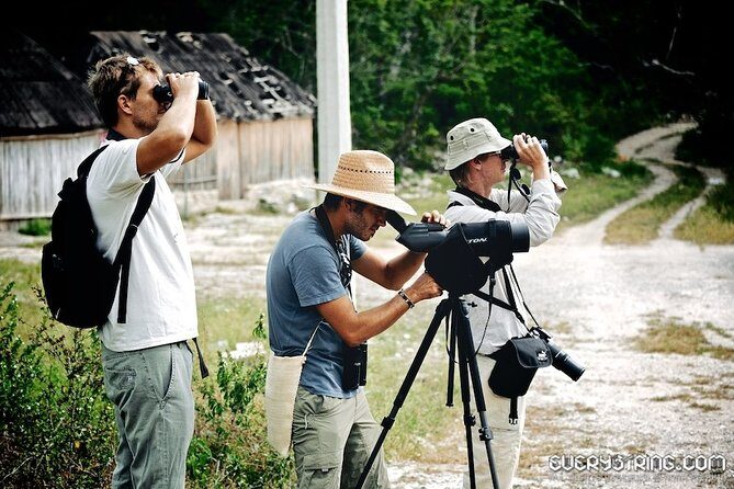 Bird Watching in Sian Ka´an Muyil - The Sum Up
