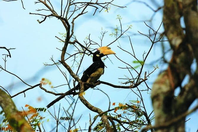 Bird Watching Tour Sri Lanka - 10 Days - The Practical Side: Transport, Guides, and Cost