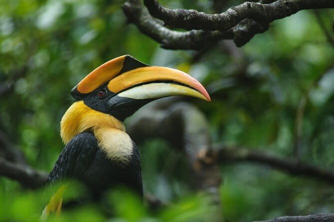 Bird Watching Tour Sri Lanka - 10 Days - The Sum Up