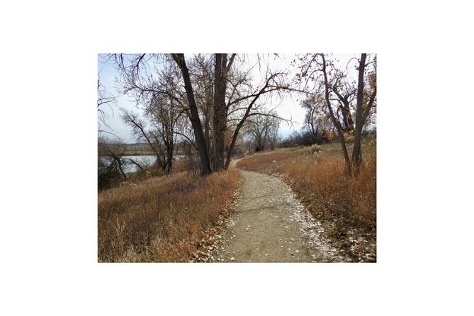 Bird Watching Walking Tour - The Practical Considerations