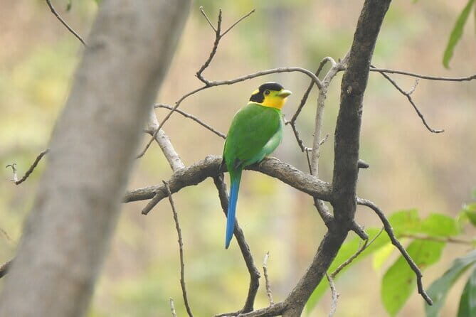 Birding Hike: Day Birdwatching in Kathmandu - Exploring the Day Itinerary in Detail