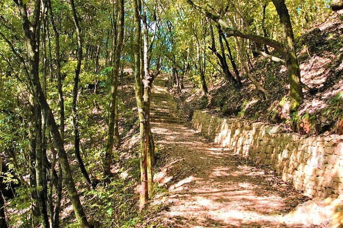 Birding Hike: Day Birdwatching in Kathmandu - FAQs