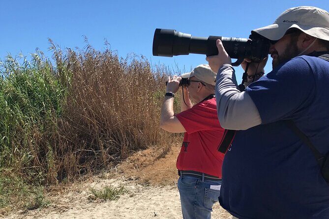 Birding Tour in La Paz Mexico - A Practical Guide to the La Paz Birding Tour