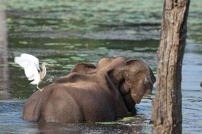 Birds and Wildlife Tour (11 Days) - Frequently Asked Questions