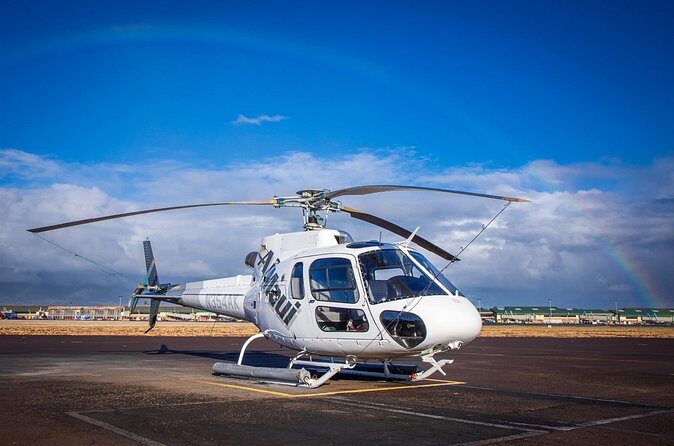 Birds Eye View 30 Minute Maui Helicopter Tour - The Sum Up: Who Will Love This Tour?